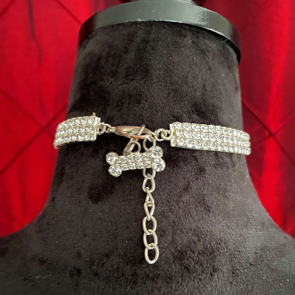 Dog or Cat Collar